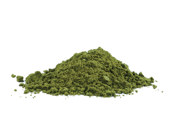 Alfalfa leaf protein