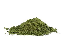 Alfalfa leaf protein