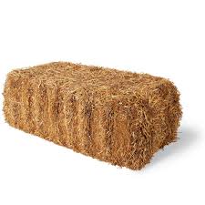 Barley straw