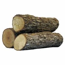 Beach wood lumber and Logs