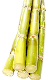 Cane sugar