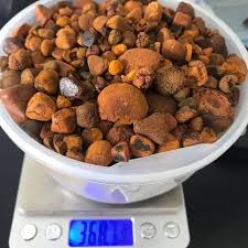 Cow Gallstone