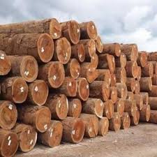 Douglas wood lumber and Logs