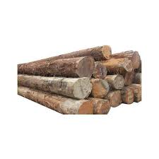 Fir wood Lumber and Logs