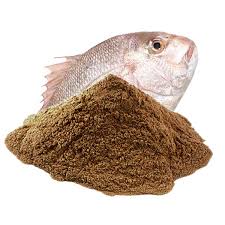 Fish meal