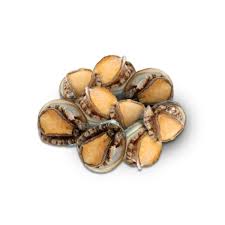 Frozen Gold abalone