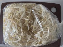 Frozen bean sprouts