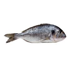 Frozen sea bream