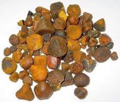 Goat Gallstone