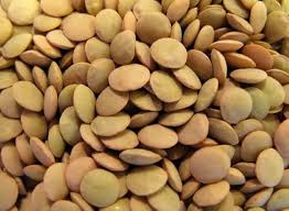 Lentils beans