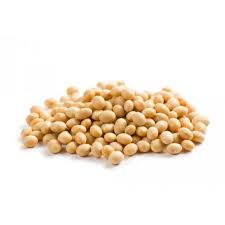 Non GMO Soybean