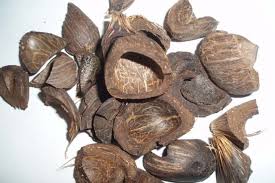 Palm kernel shell