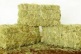 Pasture hay