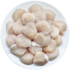 Quality frozen sea scallop