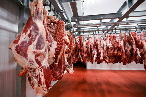 Cow meat - Image 2