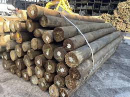 Timber poles