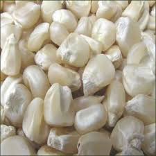White corn